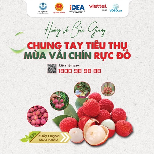 Triển khai các biện pháp hỗ trợ tiêu thụ Vải thiều Bắc Giang